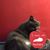 Cristeen Grasch's profile image