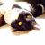 Diane Fairclough's profile image