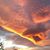 Linda C Goldie's profile image