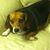Jazz Bryant's profile image