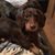 Roy Eynon's profile image