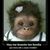 Lynn Garcia's profile image
