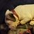 Patty Gardner Brightwell's profile image