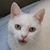 Mary Narkiewicz's profile image