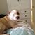 Naples Tanten's profile image