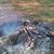 Eddie Coomer's profile image