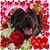 Sandy Wells's profile image