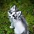 Jackie Worden's profile image