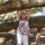 Teresa Morrison Loudermelk's profile image