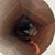 Susan Ford's profile image