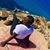 Sherrie Taylor's profile image