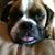 Sharon Awbrey-Perreault's profile image