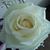 Rita Leslie's profile image