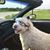 Patrick Flanigan's profile image