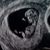 Samantha James's profile image