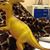 Sandy Talbert's profile image