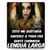 Alaniz Castellanos's profile image