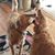 Stacey Repschlaeger Delaplaine's profile image