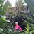 Susan Taylor's profile image