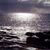 Martha Ferreira's profile image