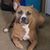 Melissa Nix Young's profile image
