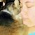 Shawna Lewis's profile image