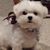 Marsha Cornell's profile image