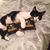 Karla C Morales's profile image