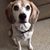 Bridget Exterovich-Iadicicco's profile image