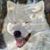 Teresa L Haney's profile image