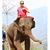 Kelsey Robichaux Haydel's profile image