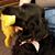 Doris Timoner Brown's profile image