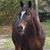 Kari Kellett Abdoudou's profile image