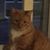 Sandy May Hendershott's profile image