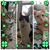 Kimberly Andes's profile image