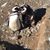 Marilyn Bernhardson's profile image