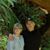 Joni Swan Slone's profile image