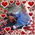 Allison Shelton's profile image