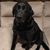 Linda Brehmer's profile image