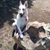 Kristen Carlson's profile image