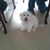 Martha Carrillo's profile image