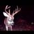 Keith Wilson's profile image