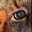 Katey Kay's profile image