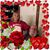Dorothy Adams's profile image