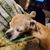 Cherl Trull Honeycutt's profile image