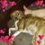 Lynette Price's profile image