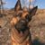 Charlie Gilarski's profile image