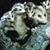 Andrea Smith's profile image