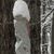 Timothy Kargl's profile image