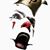 David Schmidbauer's profile image